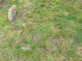 image of grave number 664559